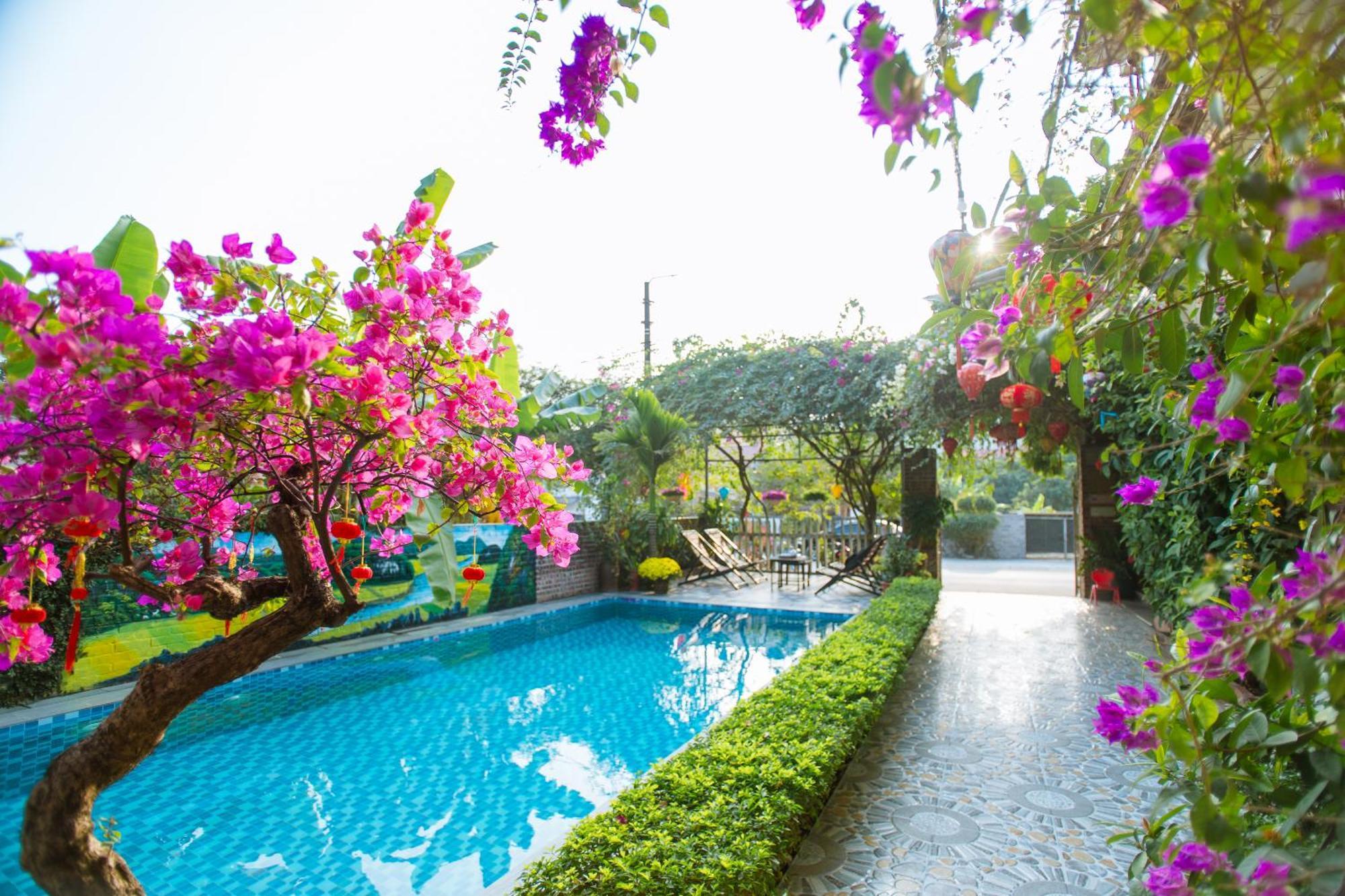 Tam Coc Viet Ha Homestay 닌빈 외부 사진